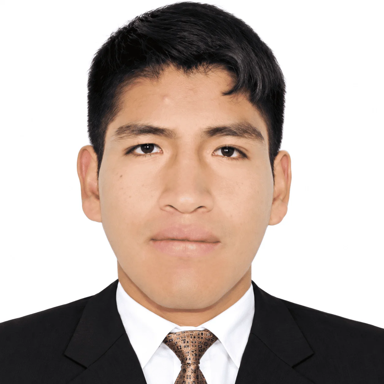 Ingeniero Rafael Sedano Taipe